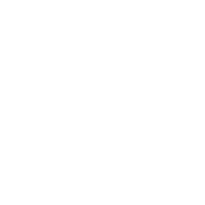 观看COLLECTION视频(Youtube)