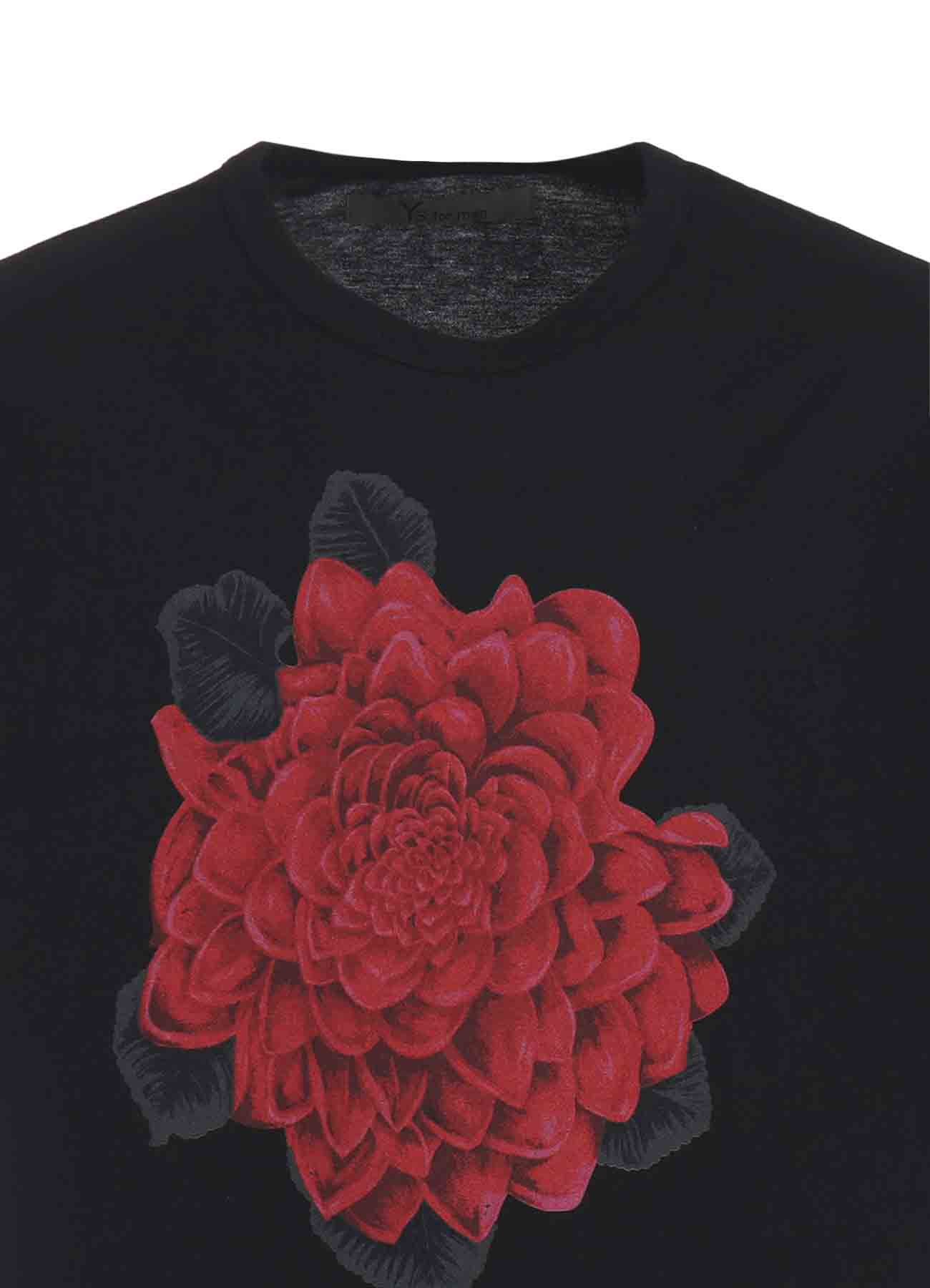 FLOWER PRINT T-SHIRT "DAHLIA"