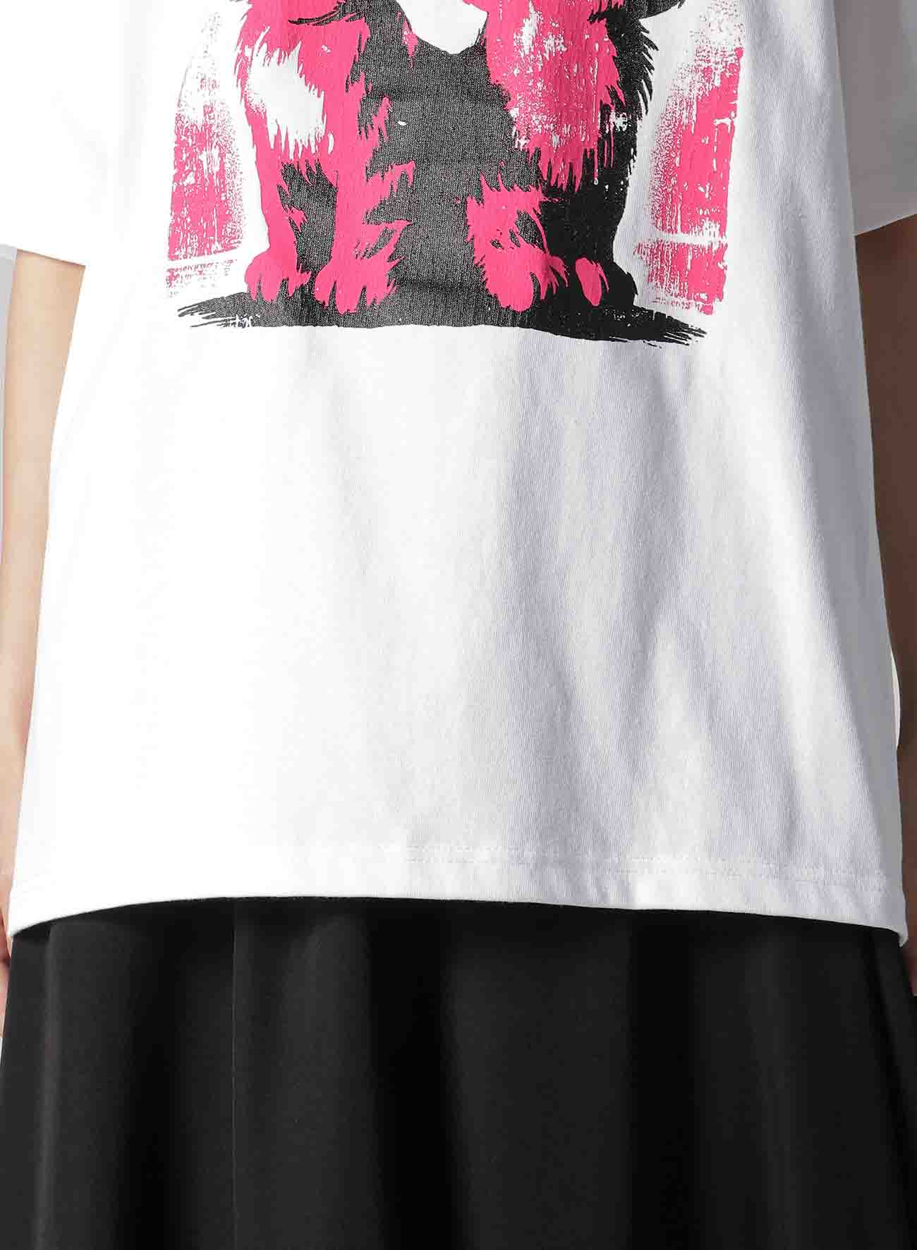 CAT PRINT T-SHIRT C